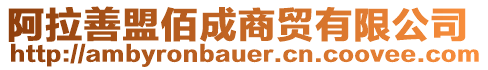 阿拉善盟佰成商貿(mào)有限公司