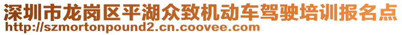深圳市龍崗區(qū)平湖眾致機(jī)動(dòng)車駕駛培訓(xùn)報(bào)名點(diǎn)