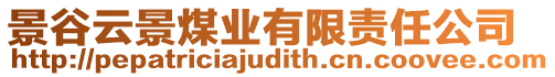 景谷云景煤業(yè)有限責(zé)任公司