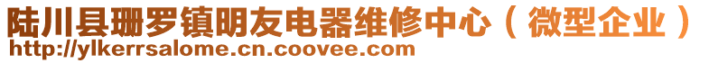 陸川縣珊羅鎮明友電器維修中心(微型企業)