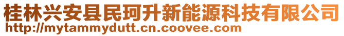 桂林興安縣民珂升新能源科技有限公司