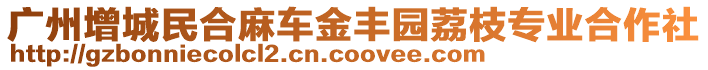 廣州增城民合麻車金豐園荔枝專業(yè)合作社