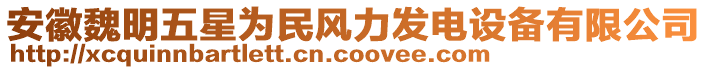 安徽魏明五星為民風(fēng)力發(fā)電設(shè)備有限公司