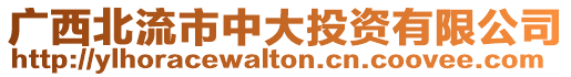 廣西北流市中大投資有限公司