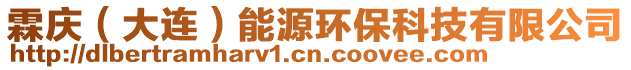 霖慶（大連）能源環(huán)?？萍加邢薰? style=