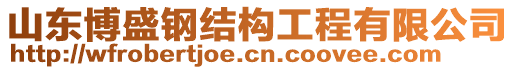 山東博盛鋼結(jié)構(gòu)工程有限公司