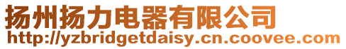 揚州揚力電器有限公司