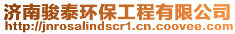 濟南駿泰環保工程有限公司