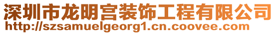 深圳市龍明宮裝飾工程有限公司