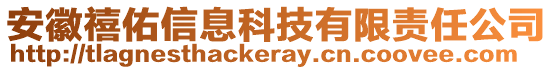 安徽禧佑信息科技有限責任公司