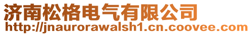 濟(jì)南松格電氣有限公司