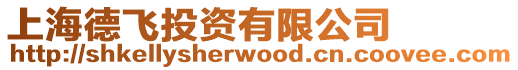 上海德飛投資有限公司