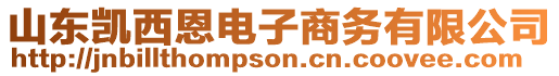 山東凱西恩電子商務(wù)有限公司