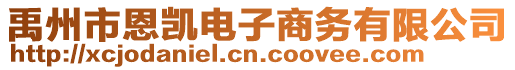 禹州市恩凱電子商務有限公司