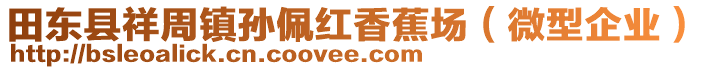 田東縣祥周鎮(zhèn)孫佩紅香蕉場（微型企業(yè)）