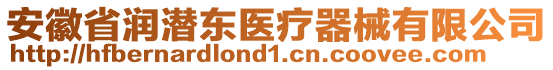 安徽省潤(rùn)潛東醫(yī)療器械有限公司