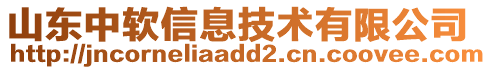 山東中軟信息技術(shù)有限公司