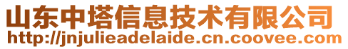 山東中塔信息技術有限公司