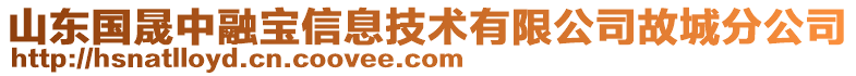 山東國(guó)晟中融寶信息技術(shù)有限公司故城分公司