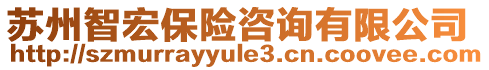 蘇州智宏保險(xiǎn)咨詢有限公司