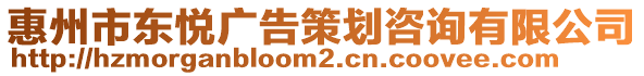 惠州市東悅廣告策劃咨詢有限公司