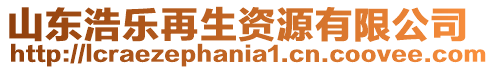 山東浩樂再生資源有限公司