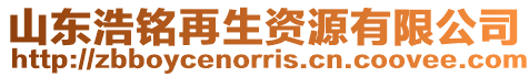 山東浩銘再生資源有限公司