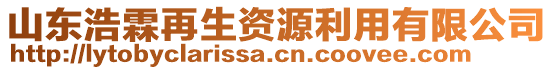 山東浩霖再生資源利用有限公司