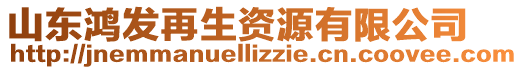 山東鴻發再生資源有限公司