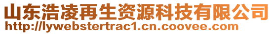山東浩凌再生資源科技有限公司