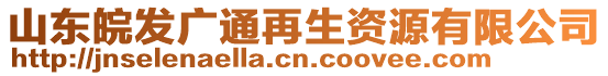 山東皖發(fā)廣通再生資源有限公司