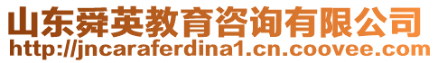 山東舜英教育咨詢有限公司