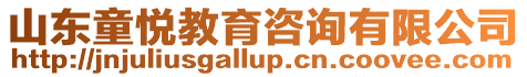 山東童悅教育咨詢有限公司