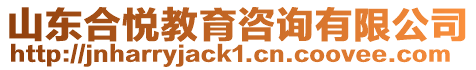 山東合悅教育咨詢有限公司