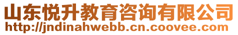 山東悅升教育咨詢有限公司