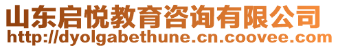 山東啟悅教育咨詢有限公司