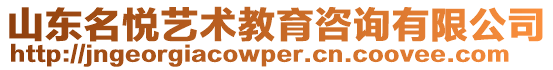 山東名悅藝術教育咨詢有限公司