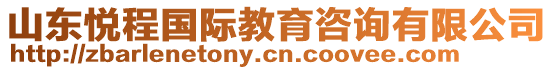 山東悅程國際教育咨詢有限公司