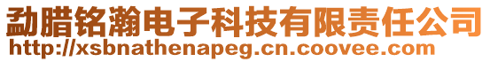勐臘銘瀚電子科技有限責任公司