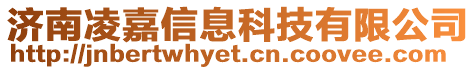 濟南凌嘉信息科技有限公司