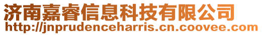 濟南嘉睿信息科技有限公司