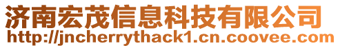 濟(jì)南宏茂信息科技有限公司