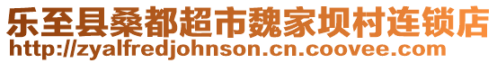 樂至縣桑都超市魏家壩村連鎖店