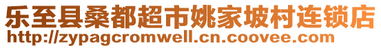 樂至縣桑都超市姚家坡村連鎖店