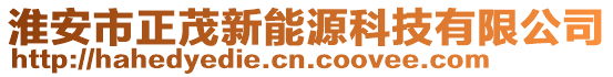 淮安市正茂新能源科技有限公司