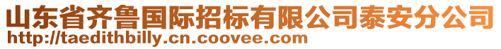 山東省齊魯國際招標有限公司泰安分公司