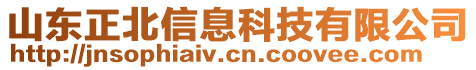 山東正北信息科技有限公司