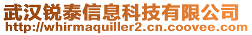 武漢銳泰信息科技有限公司