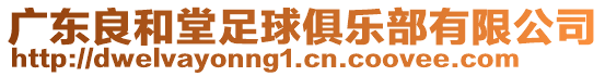 廣東良和堂足球俱樂部有限公司