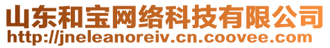 山東和寶網(wǎng)絡(luò)科技有限公司